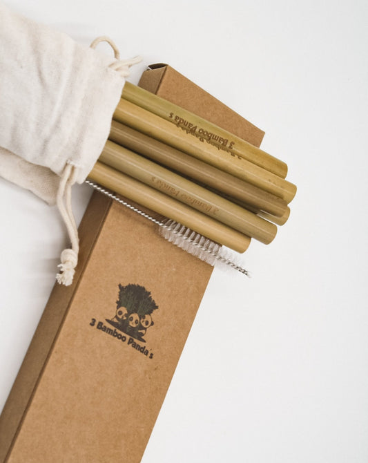 Bamboo Straws (8pack) with Brush and Bag