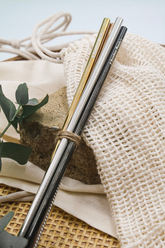 Stainless Steel Straws (Pack of 5)