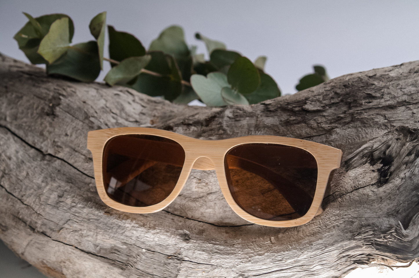 Bamboo Sunglasses with Case